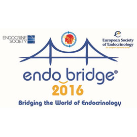 endobridge2016-Antalya