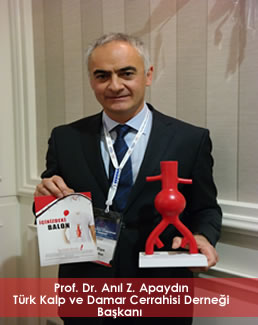 Prof. Dr. Anl Z. Apaydn