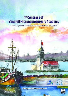 Yaargil Mikronroirrji Akademisinin ilk kongresi 4-7 Haziran 2024 tarihlerinde stanbulda dzenlenecektir.